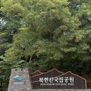 들꽃식당 - 부천시 원미구 송내대로73번길 11 | 북한산 한식 맛집 들꽃식당 치킨 맛집 곤드레정식 후기