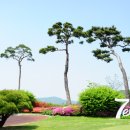 제이레저(주) 티클라우드컨트리클럽 이미지