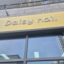 daisy nail 이미지