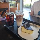 (주)부영에너지직영 부영주유소 | [소비지원금] 2025 상생페이백 신청 후기 (feat. 환급 혜택과 부메랑)