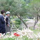 꼼지의 작은세상 이미지