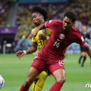 도하메드 이미지