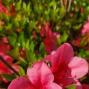 석암농장 이미지