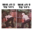 디퍼런스짐 이미지