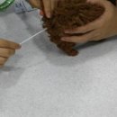 잠실준25시 동물병원 이미지