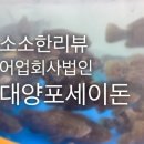대양수산활어회센타