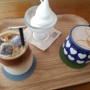 비아보스코 이미지