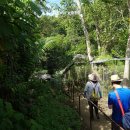 보홀세부자유여행에서 보홀육상투어 볼거리”보홀 안경원숭이(타르시어원숭이 Tarsier)” – 일정경비견적/시티나이트밤문화체험/세부풀빌라 이미지