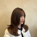빌레트헤어
