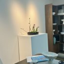 힐링 플라워 꽃꽂이 이미지