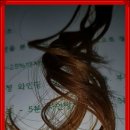 가은헤어샵