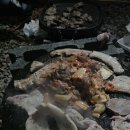 하늘숲 오토캠핑장 이미지