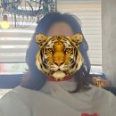 토모토모미용실 - 서구 | 충주터미널미용실 충주가성비미용실 토모토모 칠금동미용실 커트잘하는집