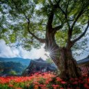 영광군 산림공원과 앞 | 영광 가볼만한곳 베스트10 전남 여행지 추천