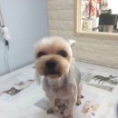 오송프렌즈샵