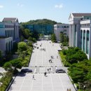 교육부 '창업교육 혁신 선도대학' 주관대학 선정 이미지