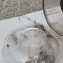 강변세탁 이미지