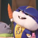 마이펫스토리 이미지