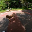 GS25 판교운중점 이미지