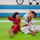 키즈펀태권도 이미지