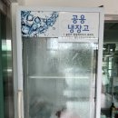 대천천변(관리번호 8번) | 충남 대전근교 대천 보령 아이랑가볼만한 깨끗한 그리고캠핑장 좋은 자리 이용꿀팁