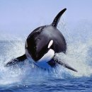 Latest News Reading 이미지