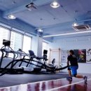 베어리핏 이미지