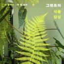 어린이 독서퀴즈(6월) 이미지