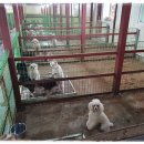 은아농장 이미지