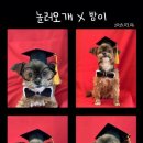 놀러오개 불로점 이미지