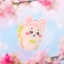 짐패스 배송대행 직구 후기 10