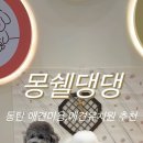 몽쉘댕댕 이미지