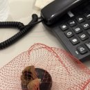 브라운도트 상동점 이미지