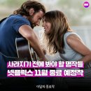 사라지기 전에 봐야 할 명작들 [넷플릭스 11월 종료 예정작] 영화 5편 추천