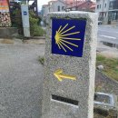 피스테라 이미지