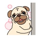 바른흑염소가든 아산음봉직영점