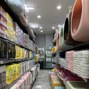 야옹아 멍멍해봐 이미지