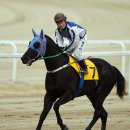 에이스팜 코리아 이미지