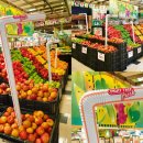 뽑아뽑아 이미지