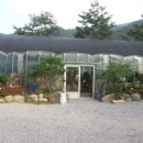 수목 당구장 이미지