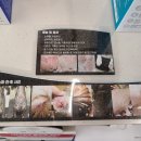 율하위드동물병원