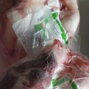 동부축산 이미지