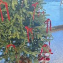 양덕동277 | 포항 양덕동카페 하이그레그 맛있는 디저트가 많은 곳