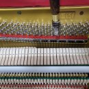 수남중학교 이미지