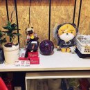 누이노래연습장 이미지