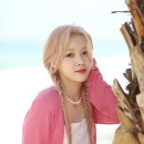 박현서 카카오 검색결과