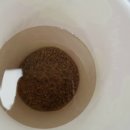 두루원 | 내 돈주고 사먹은 똥기사 후기 - 두루원 케이푸드 화이버슬림 (똥기사 vs 코락쿠)