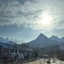 수정로135번길 | 3월의 꽃말은 개강