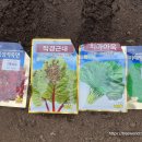 야지농장 이미지