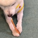 몽스토랑 이미지